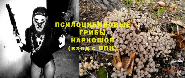 винт Белокуриха