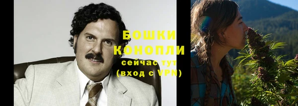 винт Белокуриха