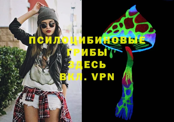 винт Белокуриха