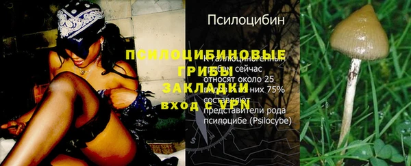 винт Белокуриха
